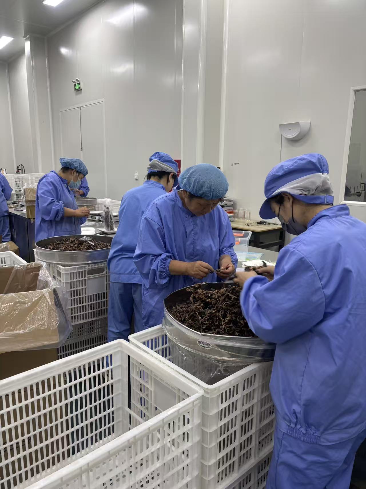 HAVENPET 洁净车间手工分拣